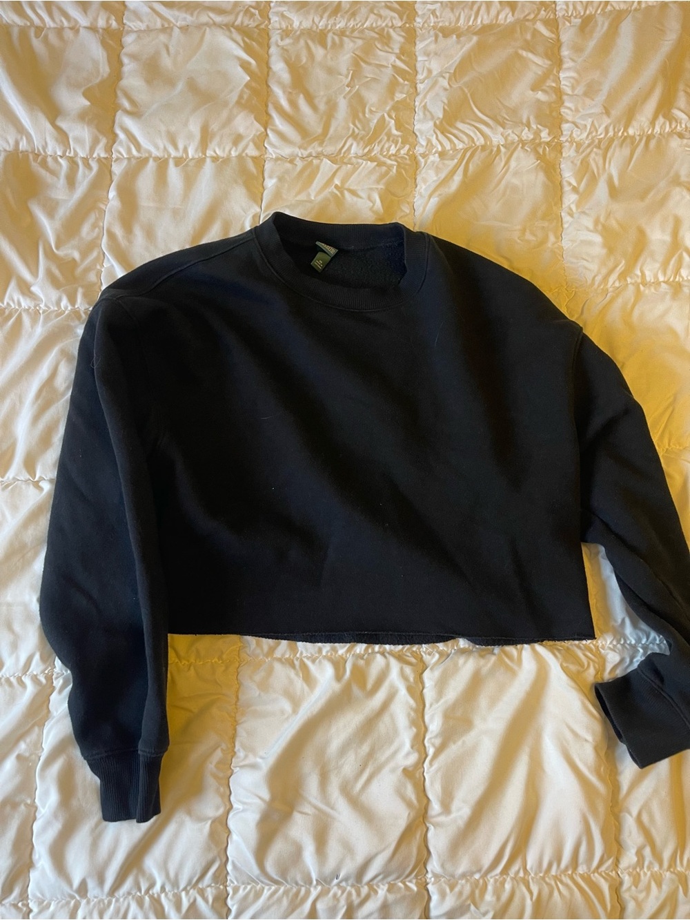 wild fable Black Cropped Crewneck Sweater